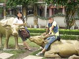 Ngắm hình ảnh Việt Nam tuyệt đẹp trên báo Nga